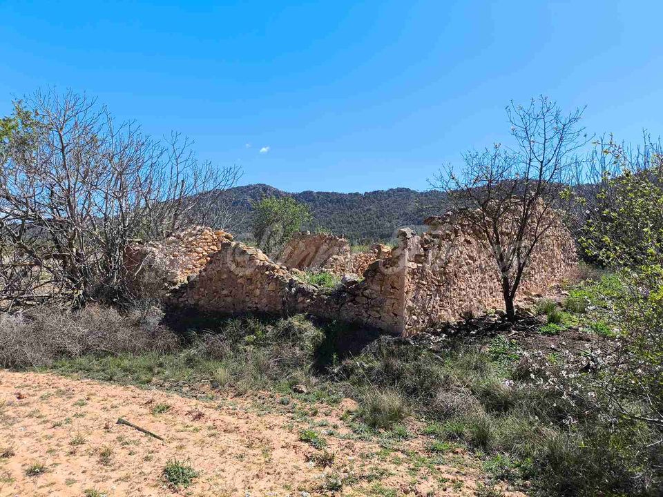 Helårsgrund i Yecla, Murcia - foto 2
